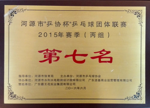 乒乓球團體聯賽2015年賽季第七名